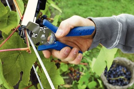 Rapid Pince Et Ciseaux PRO LIG175 Pince à Nouer 40107754 3 Rapid Pince Et Ciseaux PRO LIG175 Pince à Nouer 40107754 – Image 3